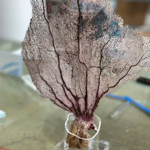 Decoración de interiores en metacrilato transparente o de colores