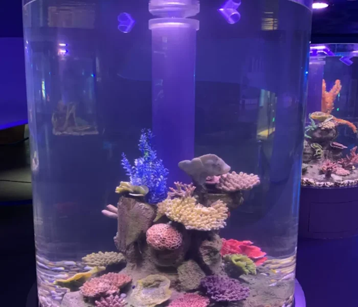 Metacrilato para pesca y acuarios modernos